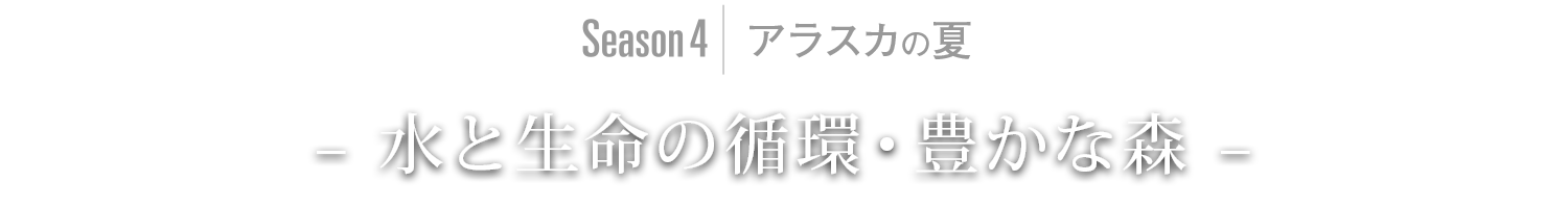 Season4｜アラスカ – 水と生命の循環・豊かな森 –