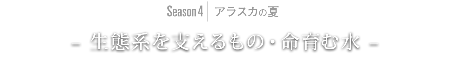 Season4｜アラスカ – 生態系を支えるもの・命育む水 –