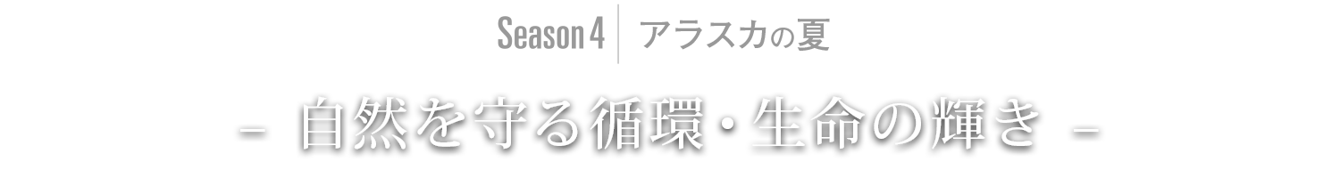 Season4｜アラスカ – 自然を守る循環・生命の輝き –