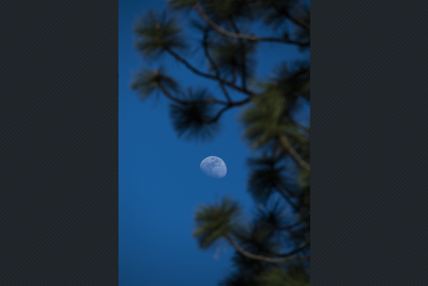 中空の月