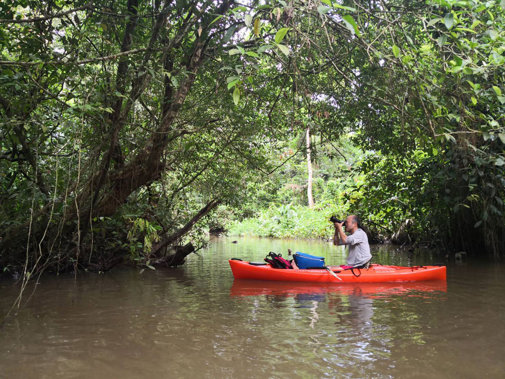 カヤックに乗って撮影する。水面に近く雨林と一体感がある。