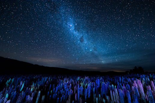 Lake Tekapo