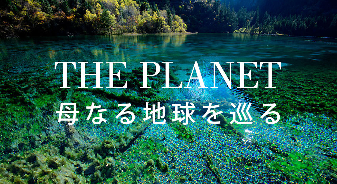 THE PLANET 母なる地球を巡る