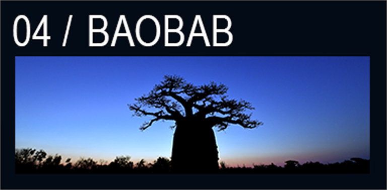 BAOBAB