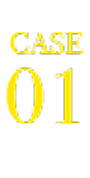 case01