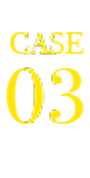 case03