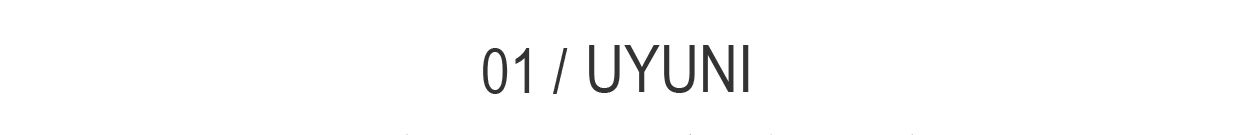 01 / UYUNI