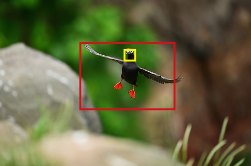 ワイドエリアAF（L）