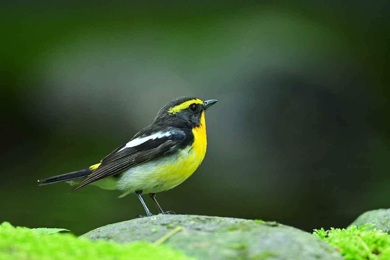 背景が離れている例