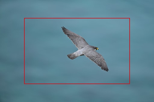 DXクロップ表示