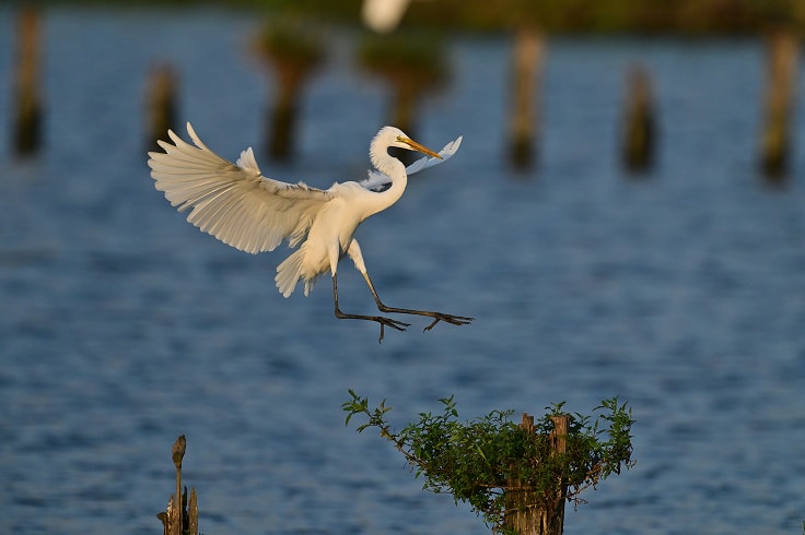 構図を整えて連写