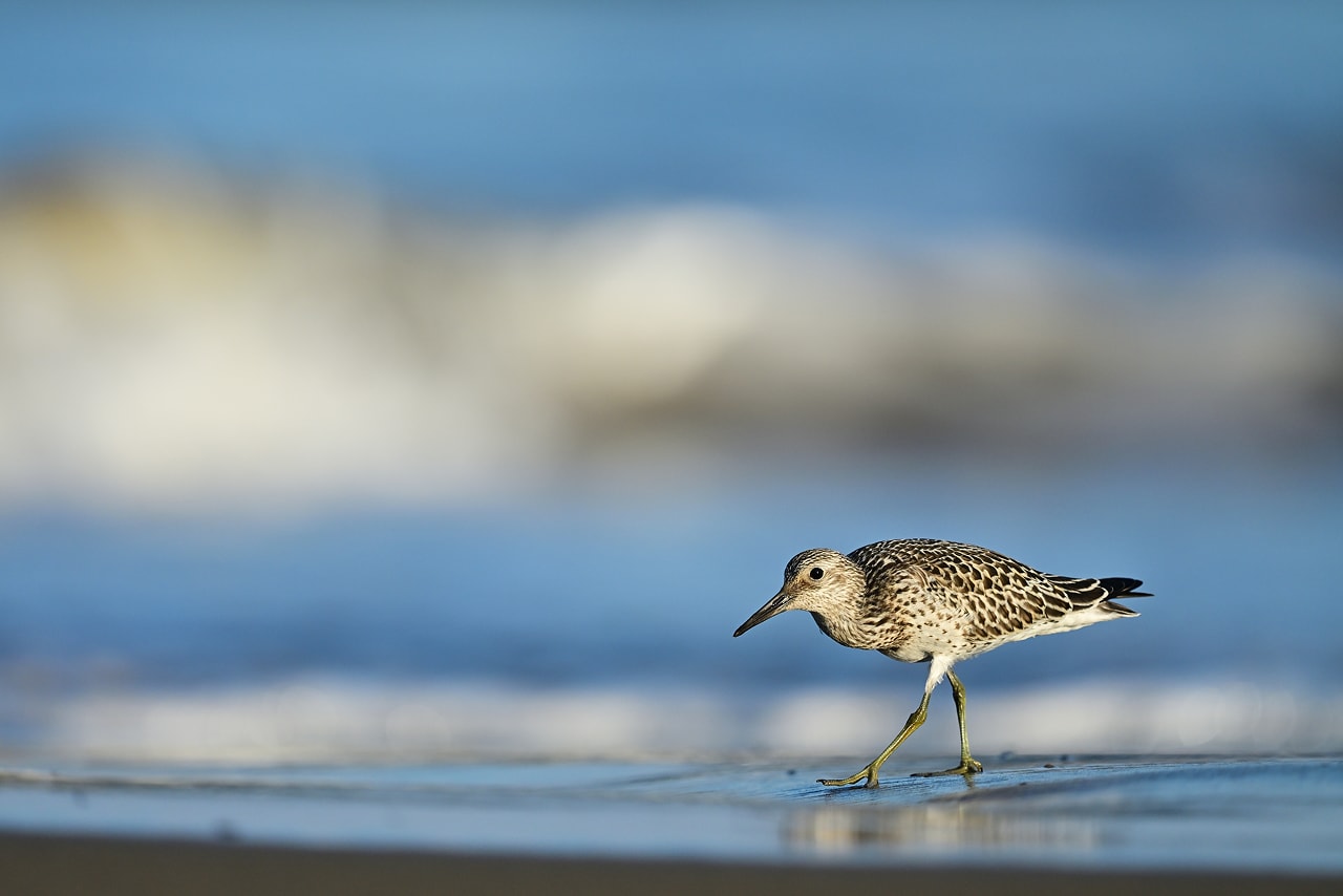 光線状態が良い例