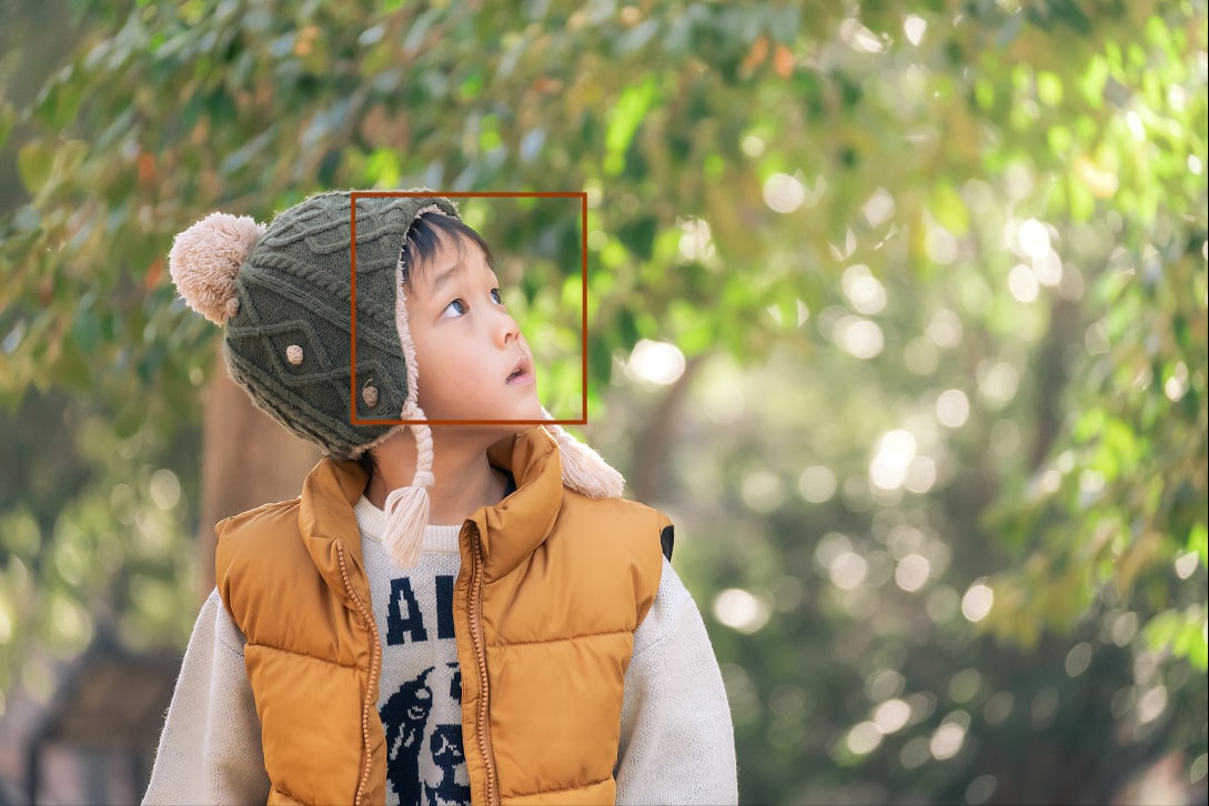 男の子が見上げている写真