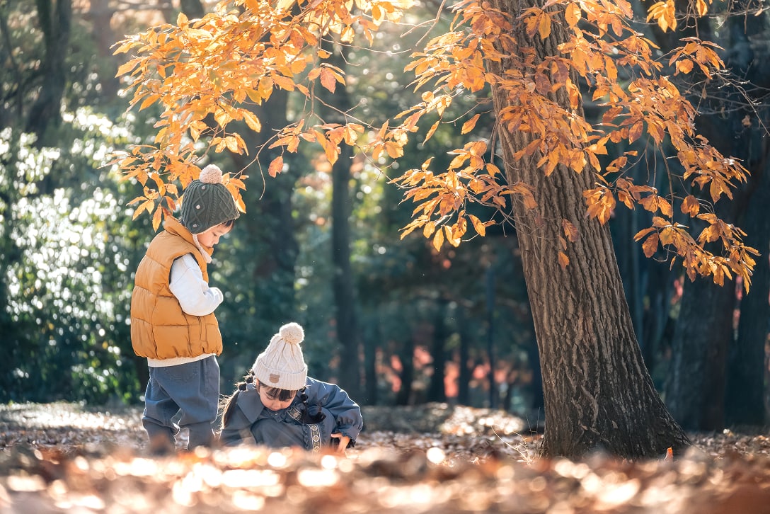 子どもたちが落ち葉で遊んでいる写真