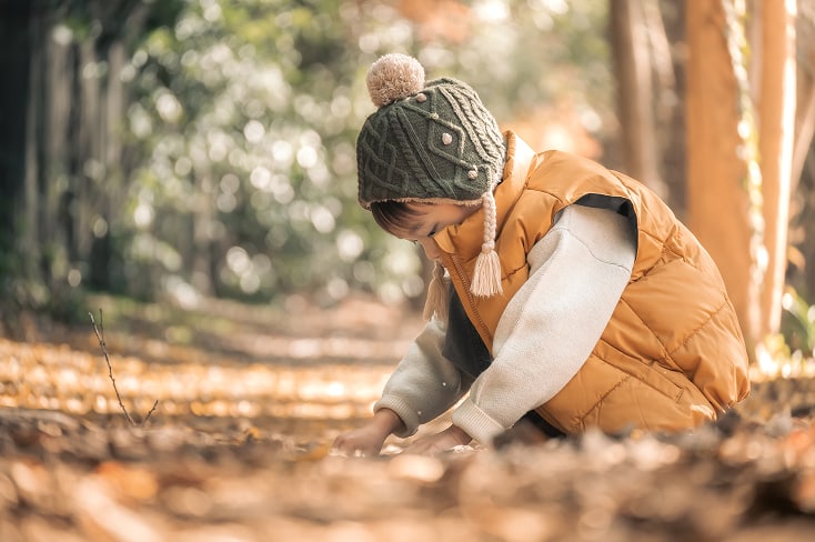 ドングリを探している様子の写真