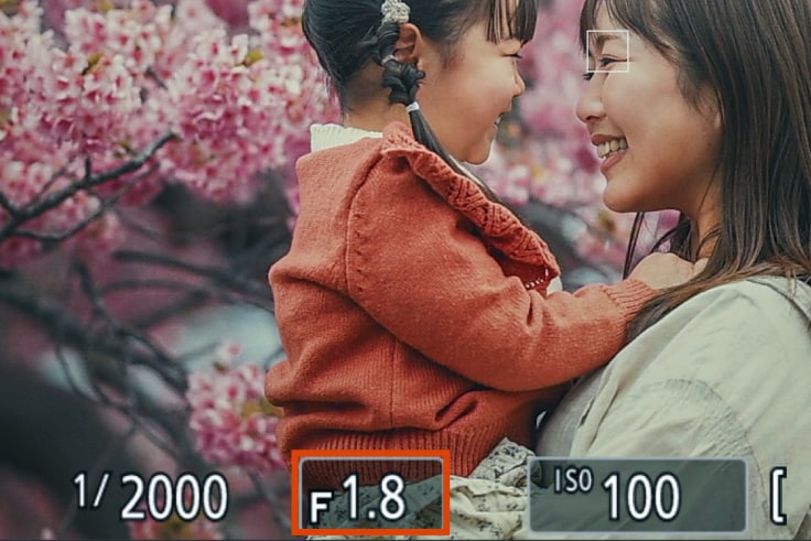 開放F値の設定画面