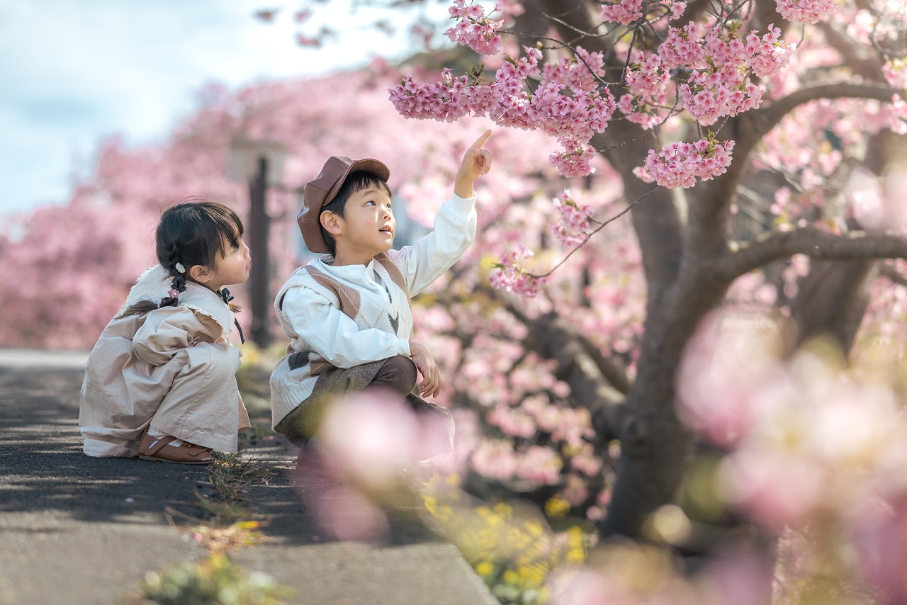 女の子と男の子が花を見ている写真