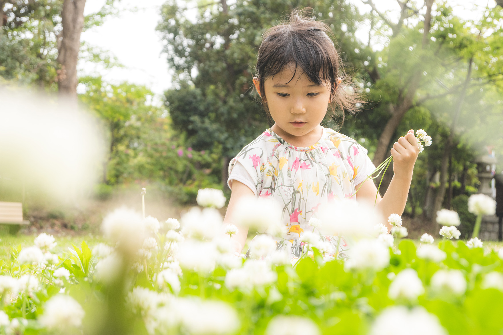 Z 50とNIKKOR Z DX 16-50mm f/3.5-6.3 VRを使用した写真