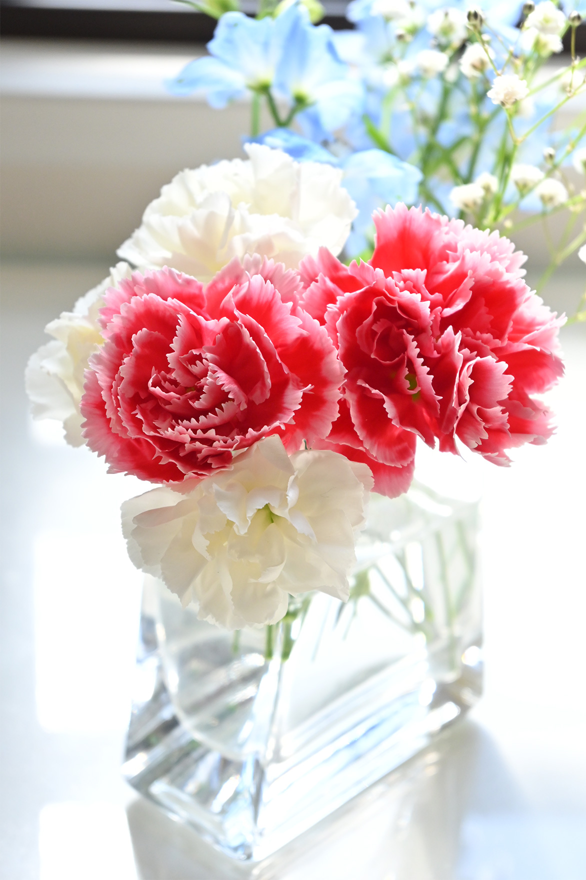 Z 50とNIKKOR Z DX 16-50mm f/3.5-6.3 VR使用した写真