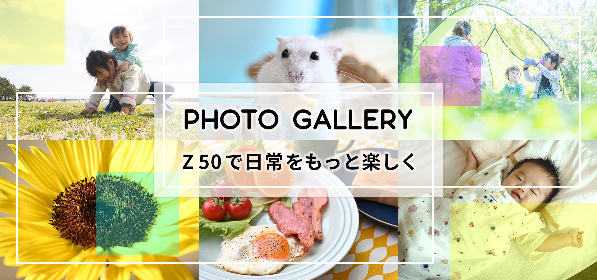 PHOTO GALLERY Z 50で日常をもっと楽しく