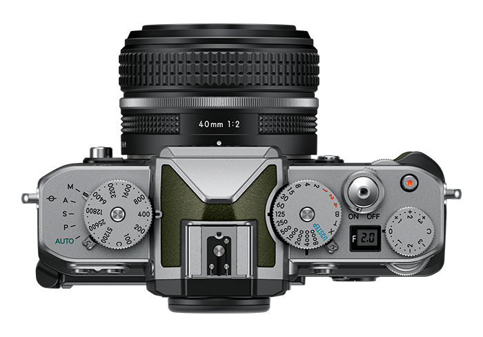 zf_gray02