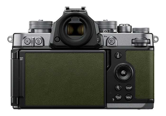 zf_gray04