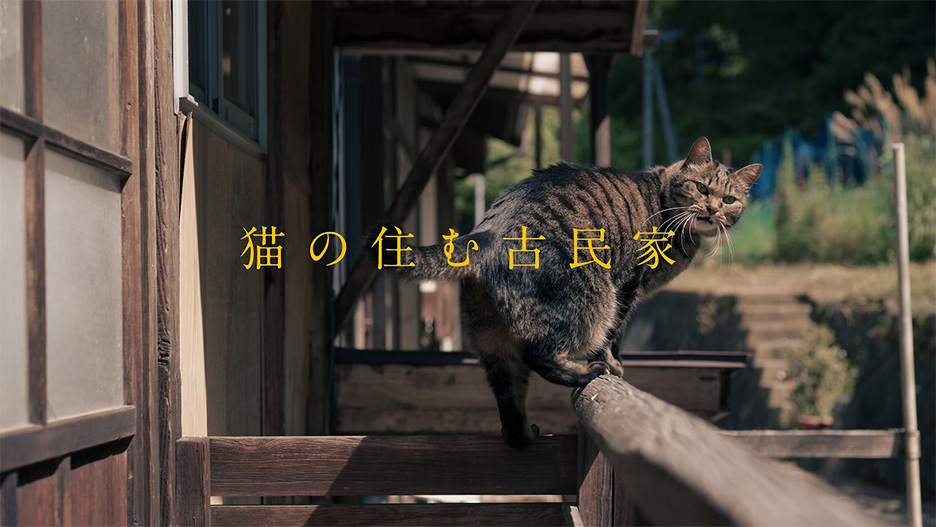 猫の住む古民家 shot on Nikon ZR ( ASMR )