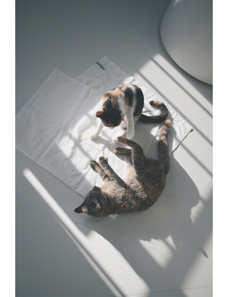 【First STEPS特別企画】 Photo walk & Workshop ’25 Summer